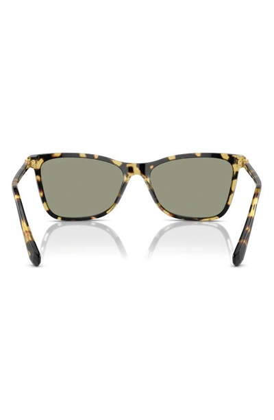 Shop Swarovski 55mm Rectangular Sunglasses In Havana