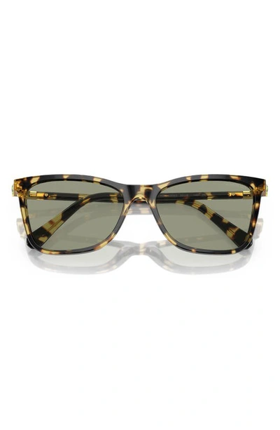 Shop Swarovski 55mm Rectangular Sunglasses In Havana