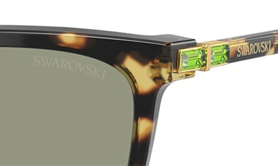 Shop Swarovski 55mm Rectangular Sunglasses In Havana