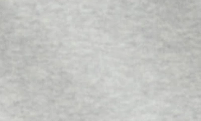 Polo Ralph Lauren Fleece Hoodie In Andover Heather