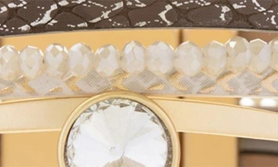 Saachi Crystal Leather Bracelet In Brown