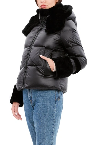 Shop Dawn Levy Harper Puffer Jacket With Genuine Shearling Trim In Black