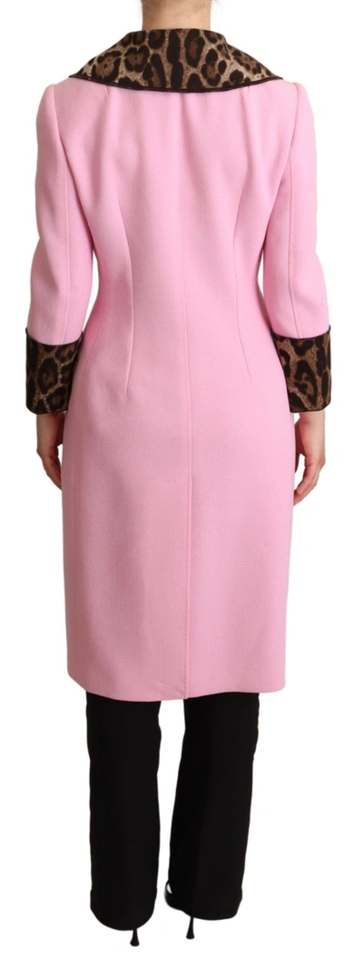 Shop Dolce & Gabbana Pink Leopard Wool Trenchcoat Women's Jacket