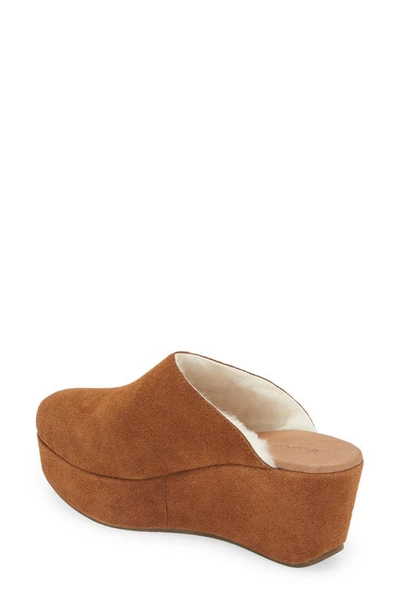 Chocolat Blu Yoselin Genuine Shearling Suede Platform Mule In Brown Suede
