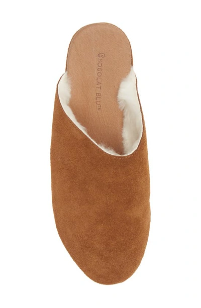 Chocolat Blu Yoselin Genuine Shearling Suede Platform Mule In Brown Suede