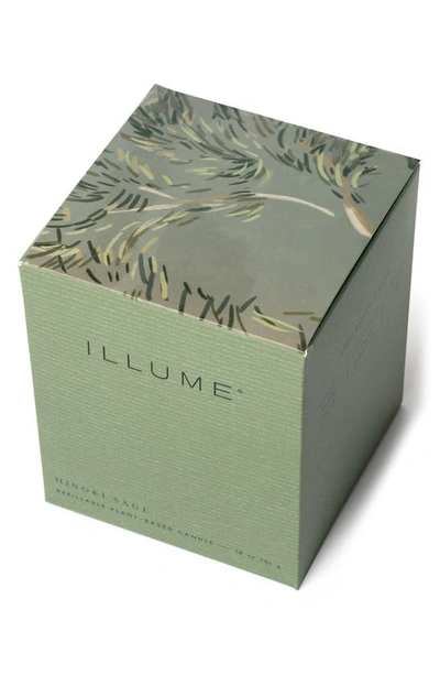 Shop Illume Hinoki Sage Glass Candle In Green