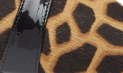 Shop Manolo Blahnik Aristida Genuine Calf Hair Pointed Toe Pump In Giraffe/ Black