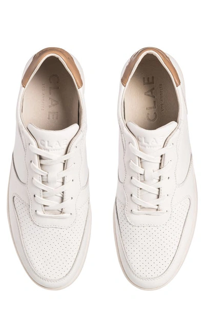 Shop Clae Malone Sneaker In Off-white Camel Brown