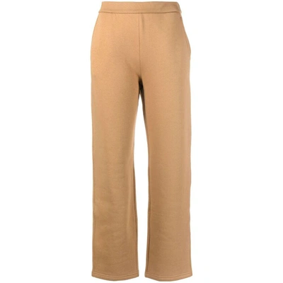 Shop 's Max Mara Pants In Brown