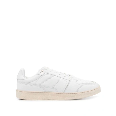 Shop Ami Alexandre Mattiussi Ami Paris Sneakers In White