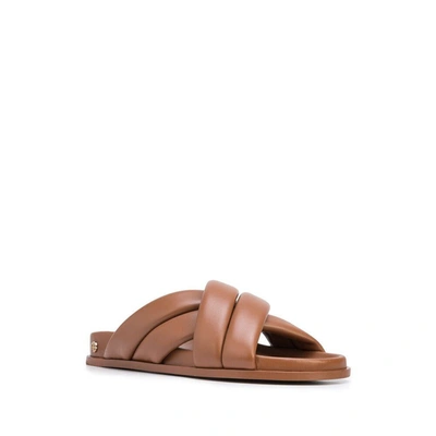 Shop Anine Bing Shoes In Brown
