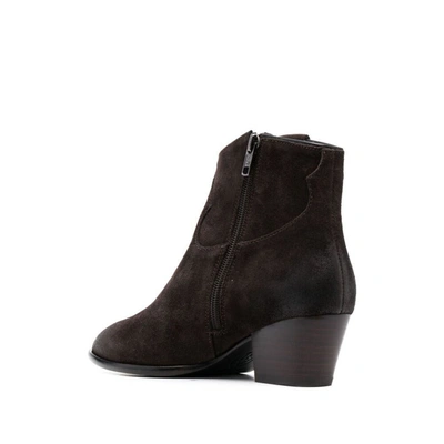 Shop Ash Shoes In Brown
