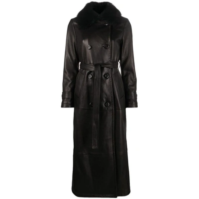 Shop Blancha ® Rainwears In Black