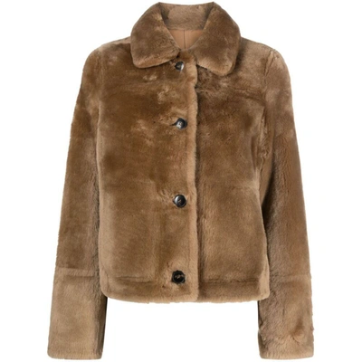 Shop Yves Salomon Furs In Neutrals