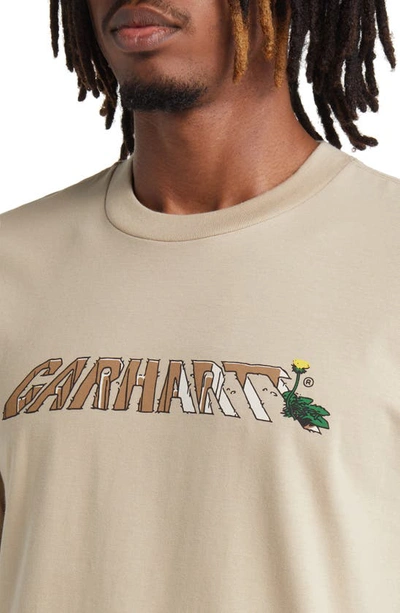 Shop Carhartt Dandelion Logo Organic Cotton Graphic T-shirt In Wall