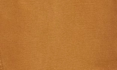 Carhartt Double Knee Pants In Deep H Brown