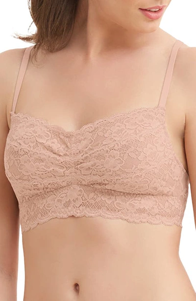 Shop Montelle Intimates Lace Bralette In Sand