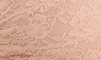 Montelle Intimates Lace Bralette In Sand