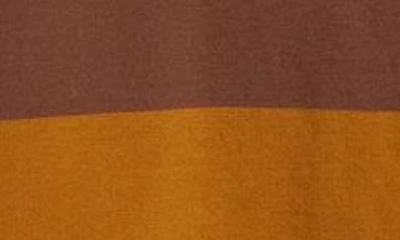 Shop Forét Match Stripe Long Sleeve Organic Cotton Polo Sweatshirt In Brown