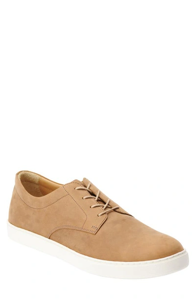 Shop Nisolo Diego Everyday Sneaker In Tobacco