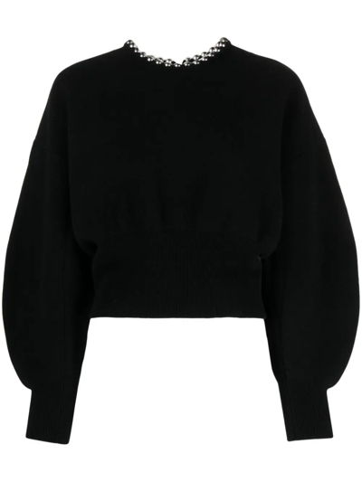 Shop Alexander Wang Sweater With Decoration In Black