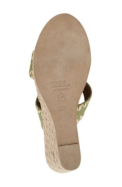 Shop Andre Assous Nolita Raffia Wedge Slide Sandal In Green Moss/ Natural
