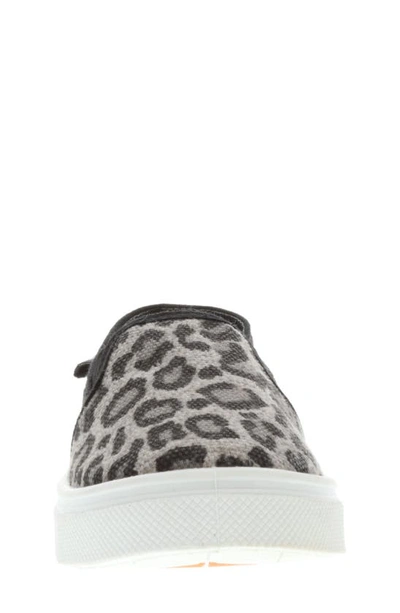 Shop Oomphies Kids' Madison Slip-on Sneaker In Black Cheetah