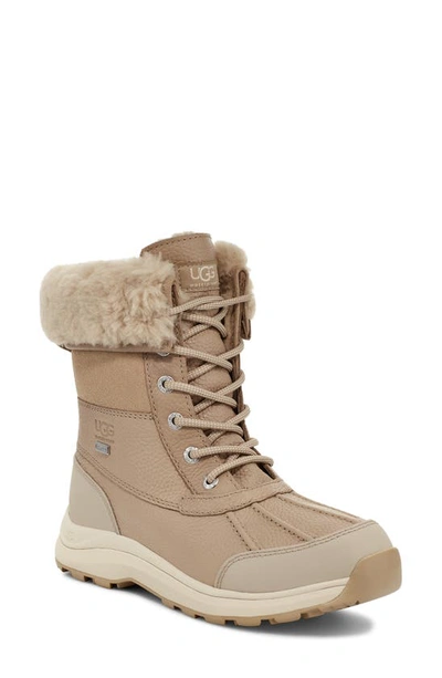 Shop Ugg Adirondack Iii Waterproof Bootie In Mustard Seed