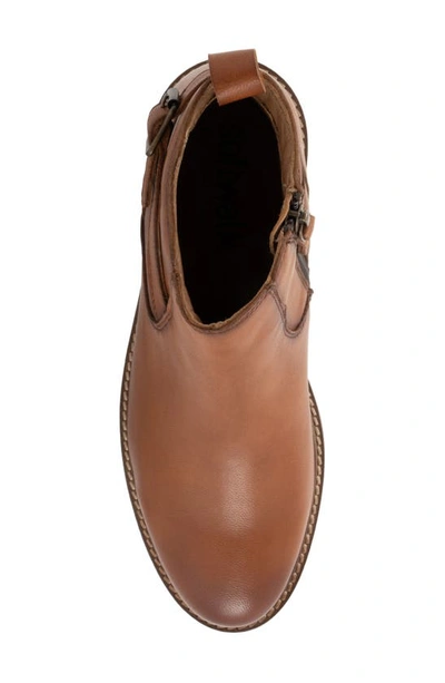 Softwalk Waneta Bootie In Luggage