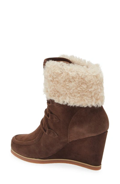 Shop Cecelia New York North Star Wedge Bootie In Chocolate Shearling