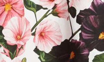 Shop Oscar De La Renta Hollyhock Print Tie Waist Sleeveless A-line Dress In Pink/ White