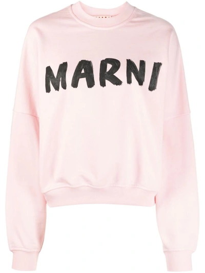 Shop Marni Logo Sweatshirt Clothing In Pink &amp; Purple