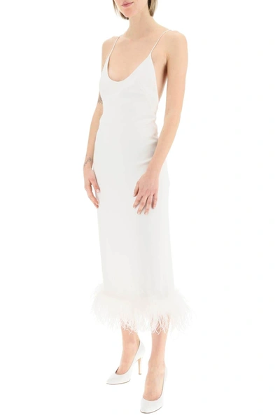 Shop Miu Miu Midi Dress With Feathers In White