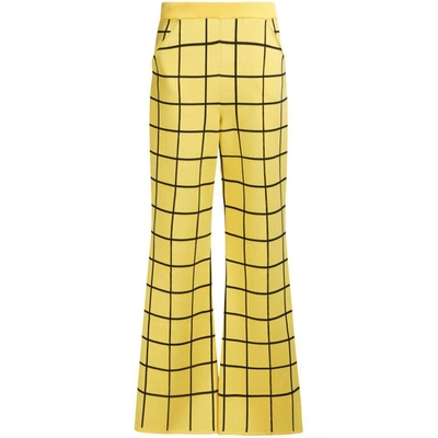 Shop Marni Pants In Yellow/black
