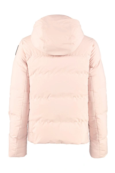 Shop Parajumpers Kanya Hooded Short Down Jacket In Pink