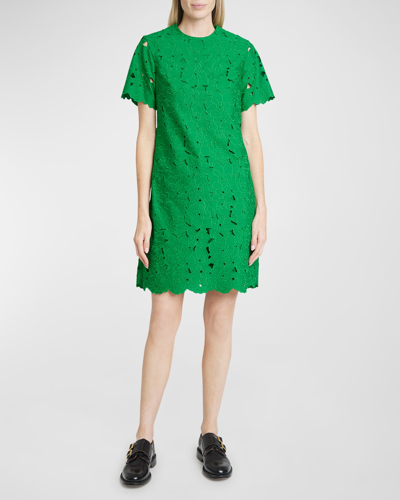 Shop Erdem Floral Embroidered Lace Short-sleeve Mini Dress In Green
