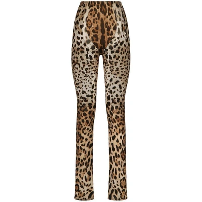 Shop Dolce & Gabbana Pants In Neutrals/brown
