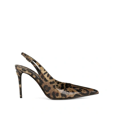 Shop Dolce & Gabbana Shoes In Brown/black