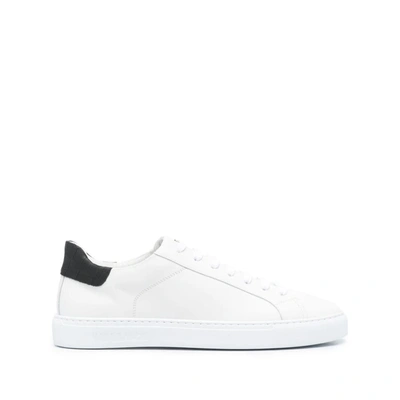 Shop Hide & Jack Sneakers In White/black