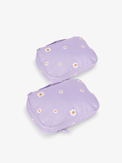 Shop Calpak Small Compression Packing Cubes In Orchid Fields