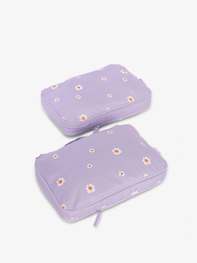Shop Calpak Medium Compression Packing Cubes In Orchid Fields