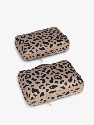 Shop Calpak Medium Compression Packing Cubes In Cheetah