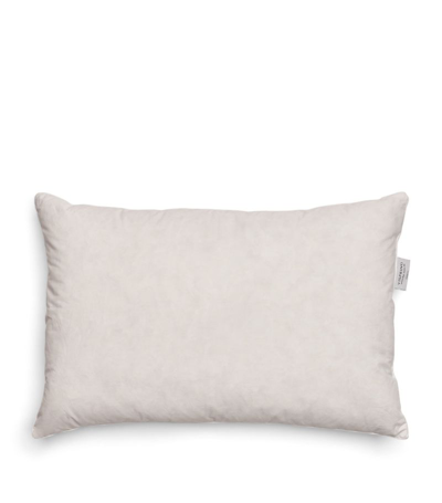 Shop Vispring Cotton Down-filled Pillow (50cm X 75cm) In White