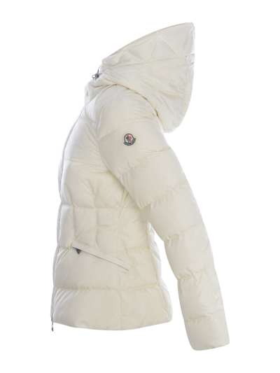 Moncler Avoce White Down Jacket