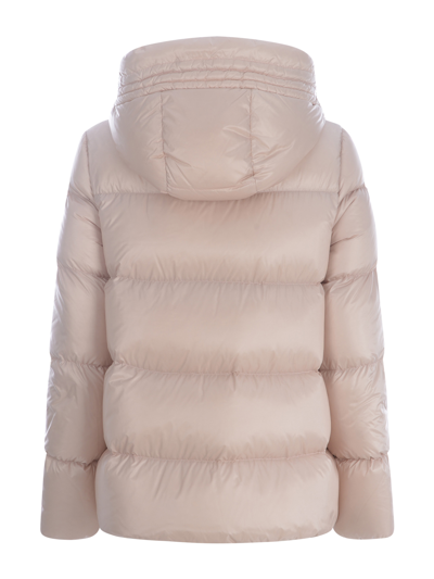 Shop Moncler Short Down Jacket  "seritte" In Rosa Cipria