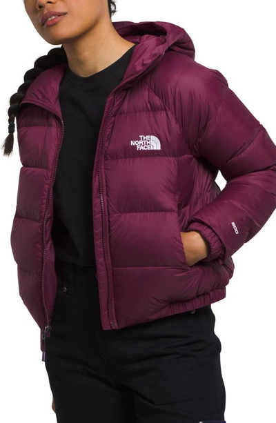 Shop The North Face Hydrenalite Hooded Down Jacket In Boysenberry
