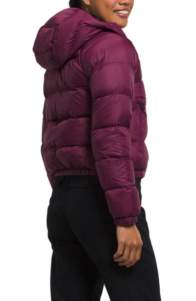 Shop The North Face Hydrenalite Hooded Down Jacket In Boysenberry