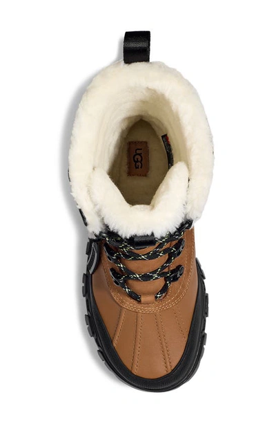 Shop Ugg Adirondack Meridian Waterproof Snow Boot In Chestnut