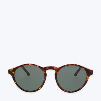 Shop Komono Devon  Sunglasses