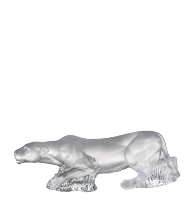 Shop Lalique Crystal Timbavati Lioness Sculpture In Clear